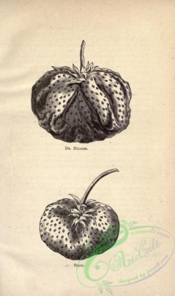 botanical-17527 - black-and-white 092-Strawberry