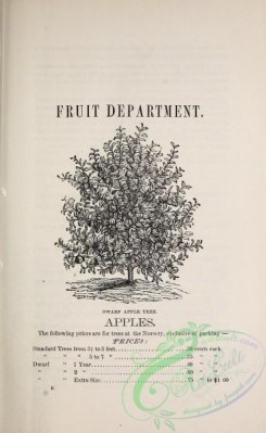 botanical-20941 - black-and-white 264-Apple Tree