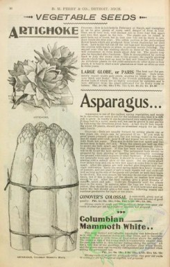 botanical-21771 - black-and-white 004-Asparagus, Artichoke