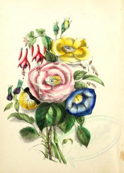bouquets_flowers-00022 - Flavor [1905x2650]