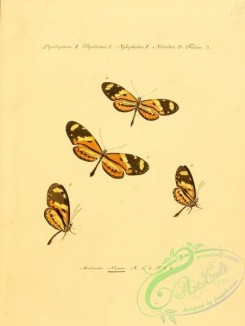 butterflies-15200 - 002