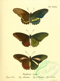 butterflies-17084 - 026