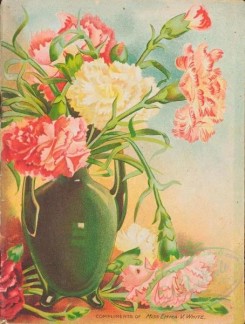 carnation-00246 - 078-Carnation, vase [2602x3436]