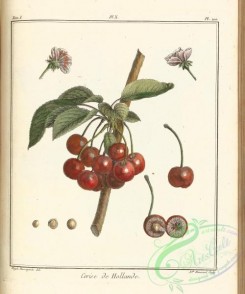 cherry-00417 - Cherry, 10