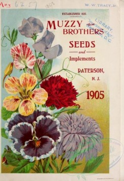 chrysanthemum-00261 - 013-Nasturtium, Sweet Pea, Chrysanthemum, Carnations