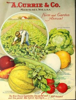 cucumber-00004 - 049-Gardener working, Harvest, Cucumber, Muskmelon, Beet, Carrot, Cabbage, Onion, Cucumber