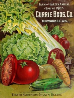 cucumber-00005 - 054-Tomato, Onion, Cucumber, Carrot, Lettuce