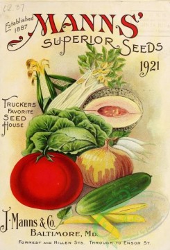 cucumber-00014 - 001-celery, Tomato, Onion, Cucumber, Bean, Cabbage, Muskmelon, Corn