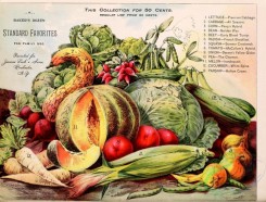cucumber-00079 - 078-Lettuce, Cabbage, Corn, Bean, Beet, Radish, Squash, Tomato, Onion, Pea, Melon, Cucumber, Parsnip