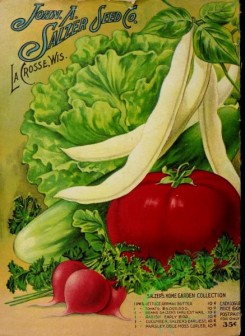 cucumber-00133 - 071-Lettuce, Tomato, Bean, Cucumber, Radish