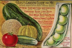 cucumber-00148 - 030-Watermelon, Musk melon, Cucumber, Tomato, Bean