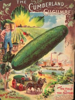 cucumber-00164 - 048-Horses, Cart, Cucumber, Man, Field