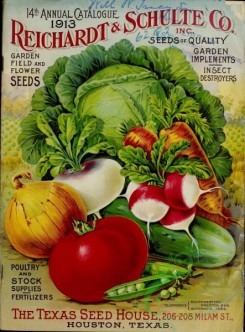 cucumber-00166 - 065-Cabbage, Tomato, Onion, Cucumber, Radish, Pea, harvest