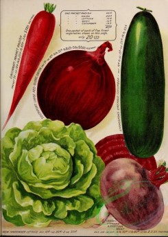 cucumber-00214 - 028-Radish, Red Globe Onion, Cucumber, Beet, Lettuce