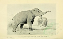 dinosaurs-00009 - ANCIENT ELEPHANTINE MONSTER, DINOTHERIUM, MIOCENE PERIOD [3154x1969]