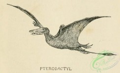 dinosaurs-00070 - Pterodactyl [1520x928]