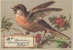 ephemera_advertising_trading_cards-00106 - 0106-Bird, flowers, flying [1495x1015]