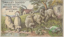 ephemera_advertising_trading_cards-00211 - 0211-Swine, Sheep, Goose, puddle, house, grass, water, drinking [3000x1742]