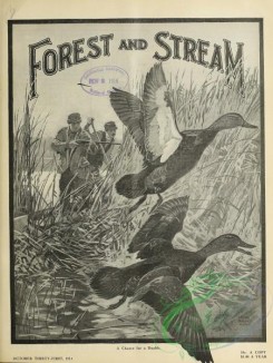 forest_and_stream-00147 - 027