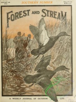 forest_and_stream-00288 - 001