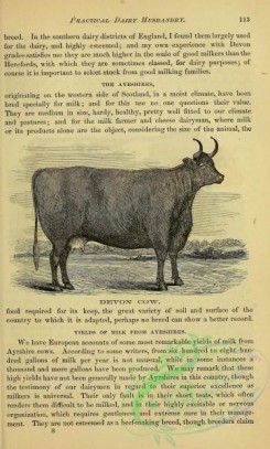 hoofed_cattlefarm-01960 - black-and-white 140-Devon Cow