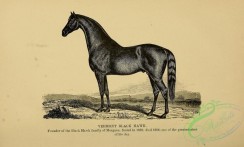 horses-02853 - black-and-white 189-Horse