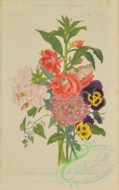 language_of_flowers-00020 - 010-Bouquet of Flowers, balsam, verbena, viola tricolor