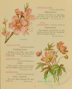 language_of_flowers-00059 - 004-Almond, Wood Anemone