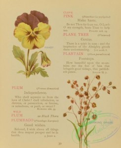 language_of_flowers-00076 - 021-Pansy, Quaking Grass