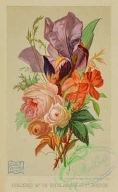 language_of_flowers-00086 - 016-Bouquet of Flowers, Rose, Iris
