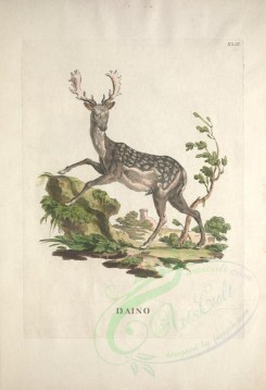 mammals-04950 - Deer, 4 [3843x5610]