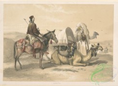 mammals-07010 - 021-Kafileh with camel bearing the Hodejh