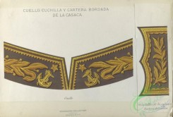military_fashion-00002 - 101105-Chili, 1890-Cuello, cuchilla y cartera bordadra de la casaca