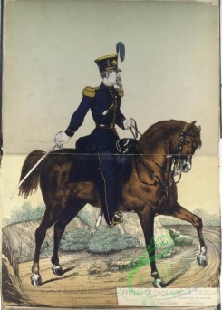 military_fashion-00053 - 101181-Brazil-Official de Cacadores a cavallo, grade uniforme