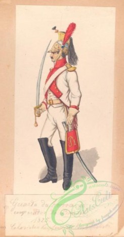 military_fashion-00079 - 101227-Brazil-Brasilie - Guardo da honra de emperador do Brasil. 1825