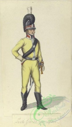 military_fashion-01351 - 107121-Denmark, 1800-1814