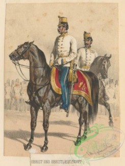 military_fashion-02896 - 104835-Austria, 1861-1866-Obrist und Obristlieutenant. 1866