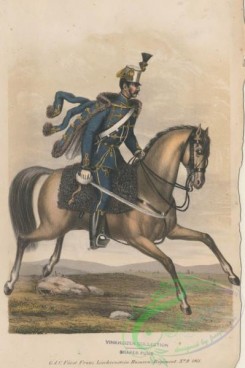 military_fashion-03006 - 104958-Austria, 1861-1866-G.d.C. Furst Franz Liechtenstein Husaren Regiment No. 9, 1861