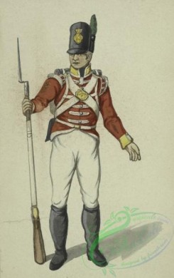 military_fashion-16301 - 209248-France, 1805-1814
