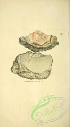 minerals-00122 - 185-silex talcum arenaceum, Sandy Talc [1895x3434]