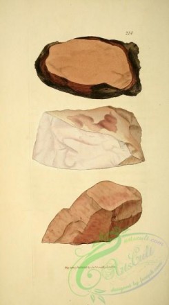 minerals-00151 - 214-unspecified [1915x3439]