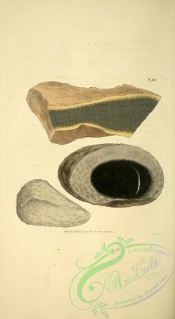 minerals-00176 - 240-unspecified [1878x3421]