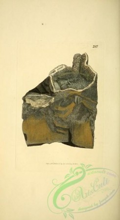 minerals-00223 - 287-ferrum sulphureum, Sulphuret of Iron, Hair Pyrites [1878x3421]