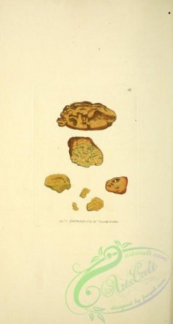 minerals-00388 - 052-aurum nativum, Native Gold [1803x3379]