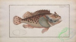 monster_fishes-00022 - scorpaena porcus