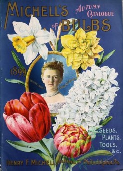 narcissus-00131 - 060-Queen, Woman, Tulips, Hyacinthus, Daffodil, Narcissus