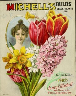 narcissus-00136 - 026-Tulips, Hyacinthus, Narcissus, Woman face, portrait