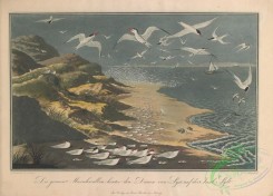 nature_and_art-00002 - 001-Landscape with Terns