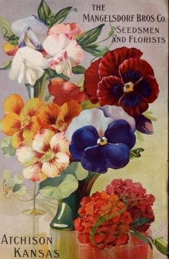 pansy-00214 - 016-Sweet Pea, Pansies, Carnations, Vase