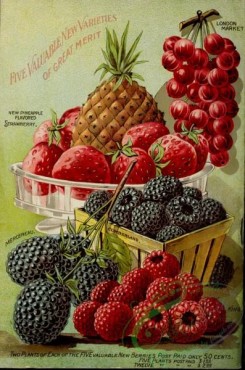pineapple-00025 - 024-Ananas, Pineapple, Strawberry, Currant, Raspberry, Blackberry, in basket, in box, plate, vase